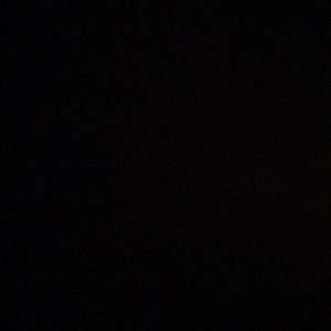 Meet your Posher, Bella